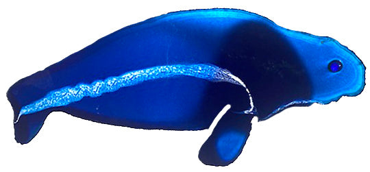 Manatees - 10th Avenue West Studios | One-Of-A-Kind Handmade Torch-Cut Metal Art